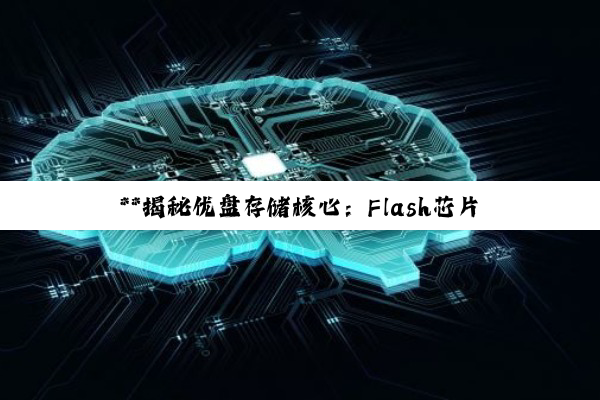 **揭秘优盘存储核心：Flash芯片的功能与物理特性深度剖析**