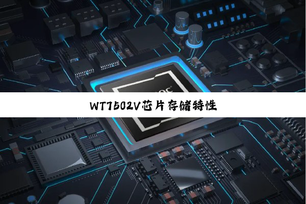 今日科普|WT7502V芯片存储特性