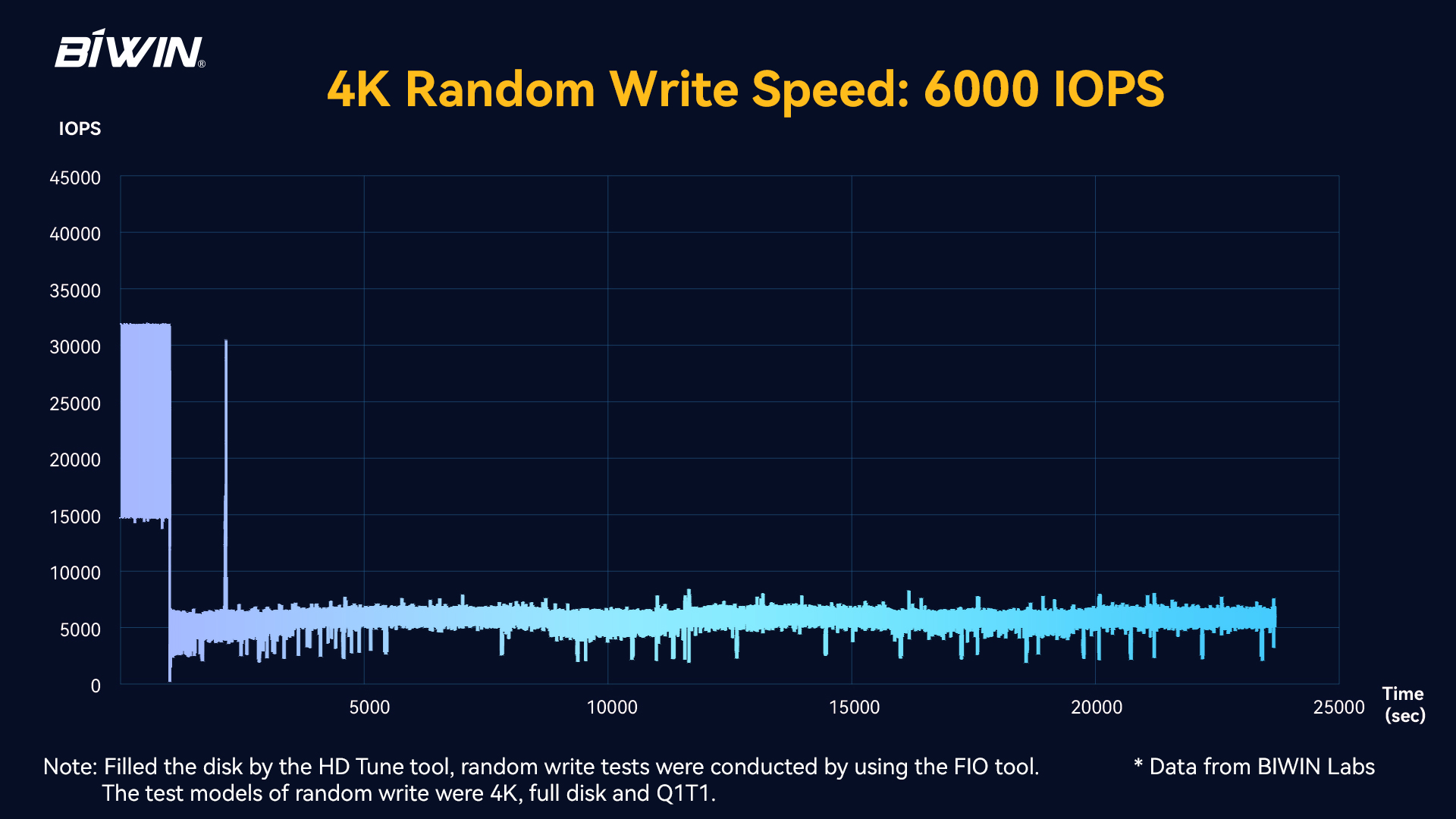 C1008 Random Write