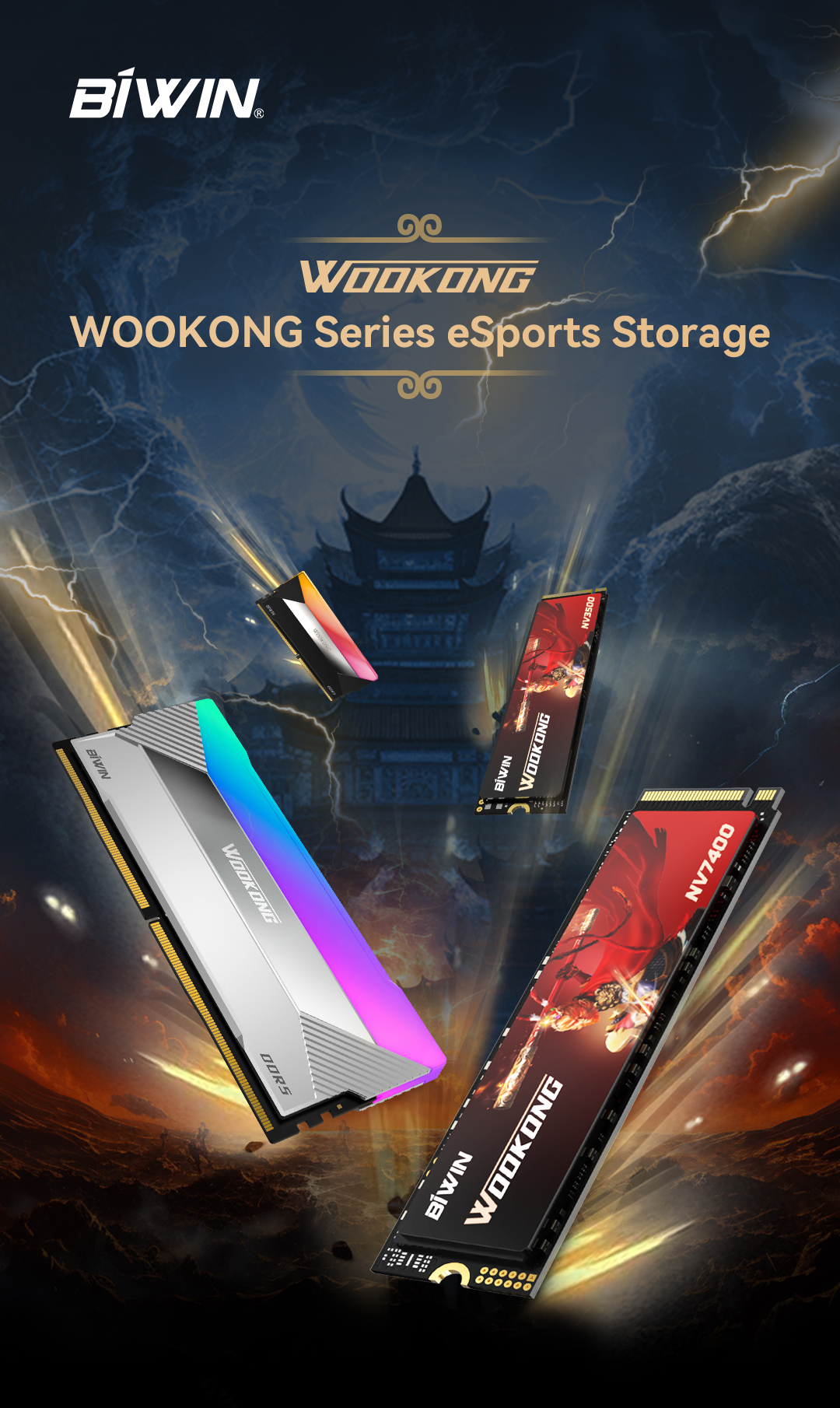 WOOKONG Series eSports Storage